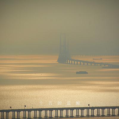 鲸鱼深夜读愈馆