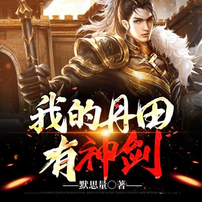 我的丹田有神剑
