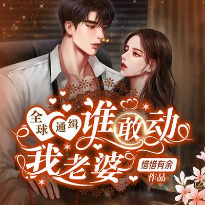 全球通缉：谁敢动我老婆