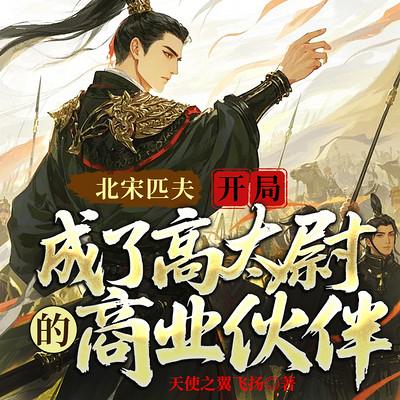 北宋匹夫：开局成了高太尉的商业伙伴