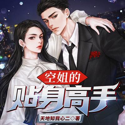 空姐的贴身高手