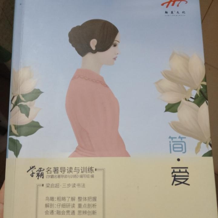 简爱学霸名著导读与训练前言