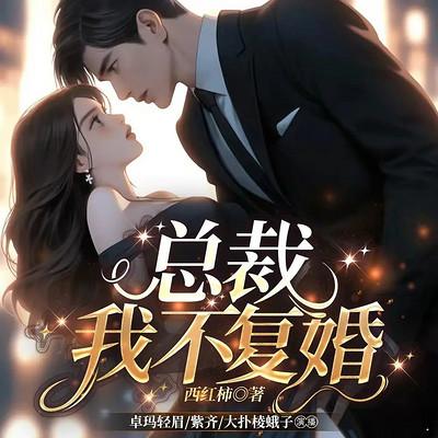 总裁，我不复婚