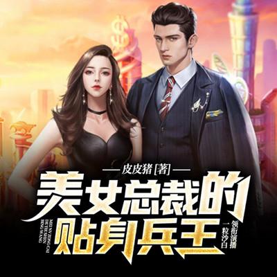 美女总裁的贴身兵